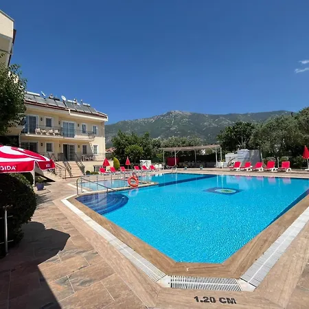 B Garden D-6 フェティエ